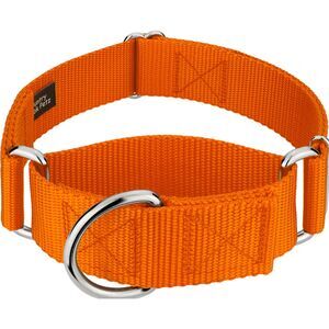 Country Brook Petz HossFit Jr Wide Training Martingale Dog Collar Orange Medium